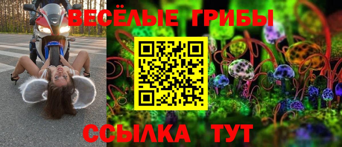 Галлюциногенные грибы Cubensis  Вход с VPN  Долгопрудный 